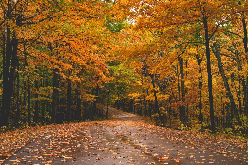 Blue Ridge Parkway